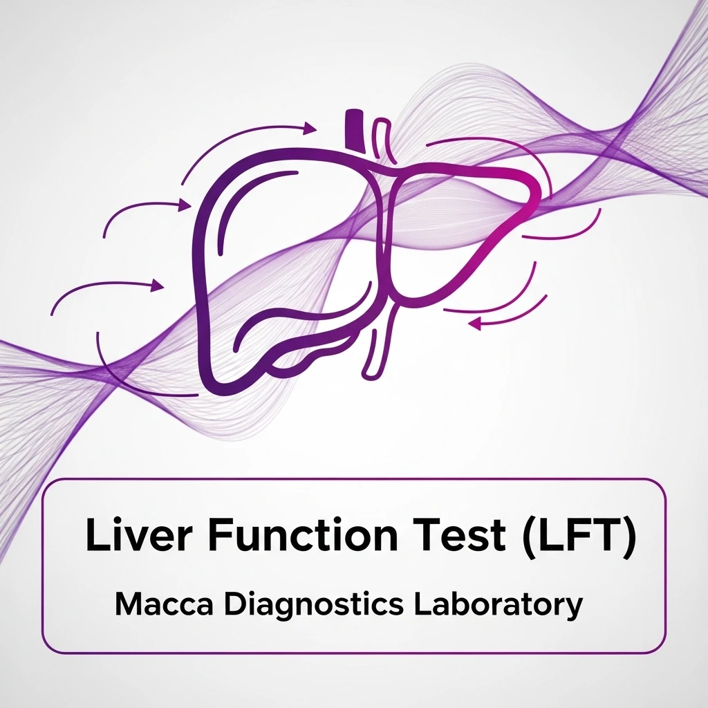 Liver Function Test (LFT)